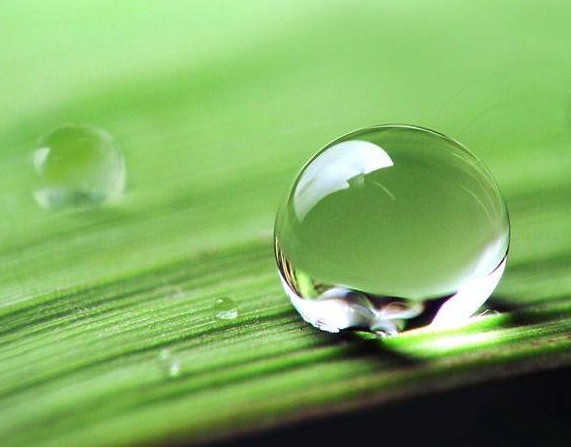 涂料潤濕劑<a href='https://www.www.ge5a.com/product/product-0001,0011,0020.shtml' class='keys' title='點擊查看關(guān)于分散劑的相關(guān)信息' target='_blank'>分散劑</a>