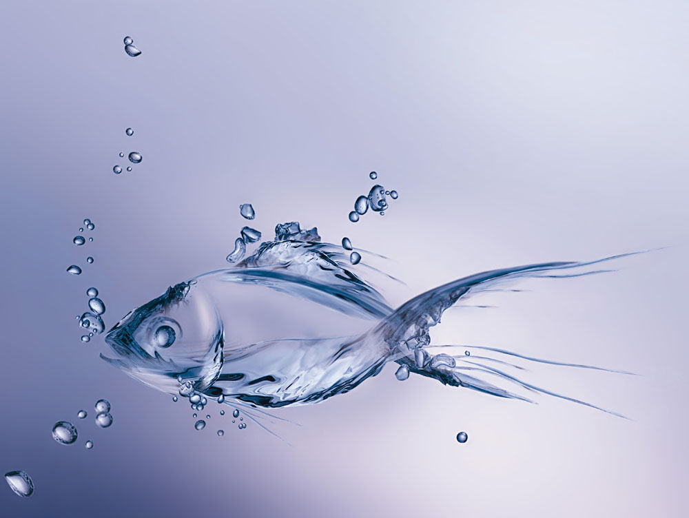 潤濕<a href='https://www.www.ge5a.com/product/product-0001,0011,0020.shtml' class='keys' title='點擊查看關(guān)于分散劑的相關(guān)信息' target='_blank'>分散劑</a>