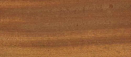 木器漆基材潤濕劑,木器漆潤濕劑,水性潤濕劑,底材潤濕劑,潤濕劑廠家,迪高潤濕劑,<a href='https://www.www.ge5a.com/product/product-0001,0011,0018.shtml' class='keys' title='點(diǎn)擊查看關(guān)于潤濕劑的相關(guān)信息' target='_blank'>潤濕劑</a>批發(fā)