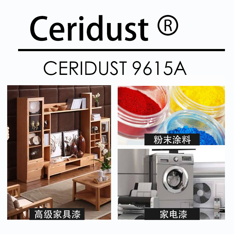 科萊恩蠟粉 Ceridust 9615A 改性聚乙烯蠟超微細粉末 科萊恩蠟粉 Ceridust 9615A 改性聚乙烯蠟超微細粉末